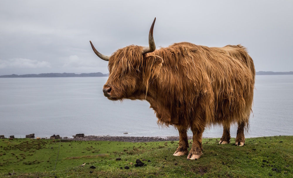 Frustration d'un jour pluvieux