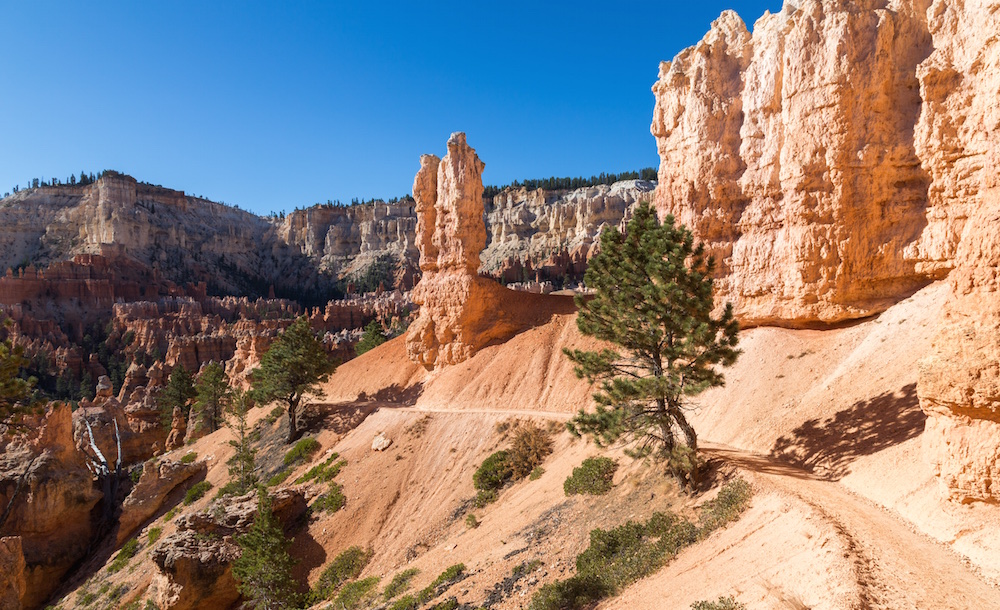 Au coeur de Bryce Canyon